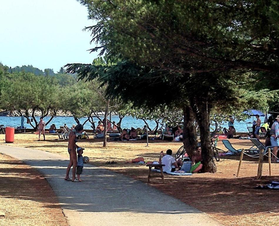 Apartman Ema Novigrad  Bagian luar foto